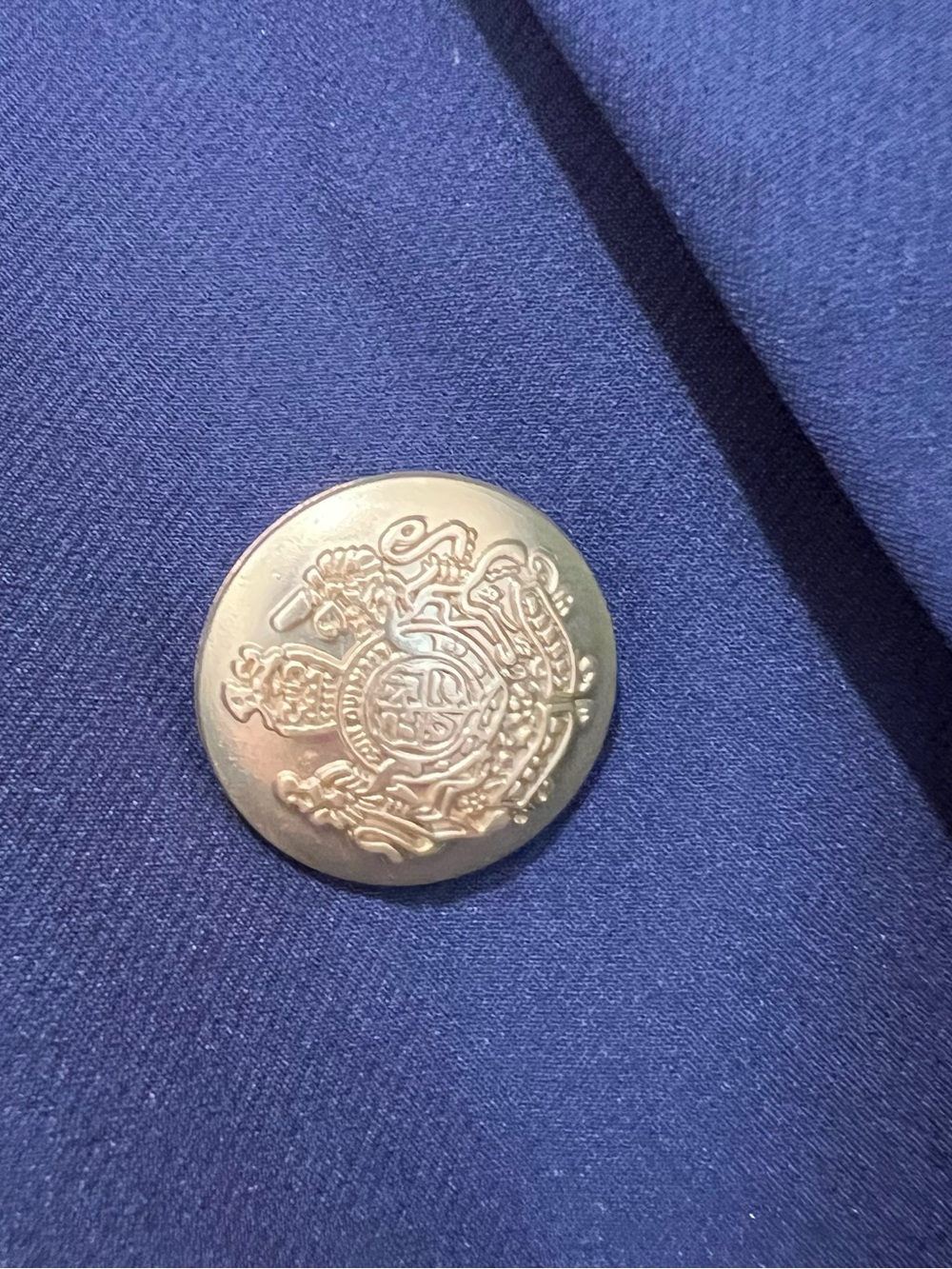 Quince Navy Double-Breasted Blazer with Gold Buttons - Picture 5 of 10